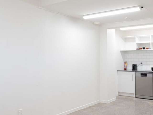 5 Waima Street Grey Lynn_4