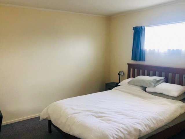 16a Methuen Road Avondale_4