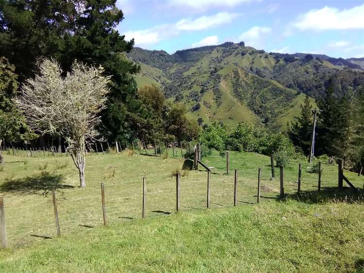 453 Kururau Road Taumarunui_7