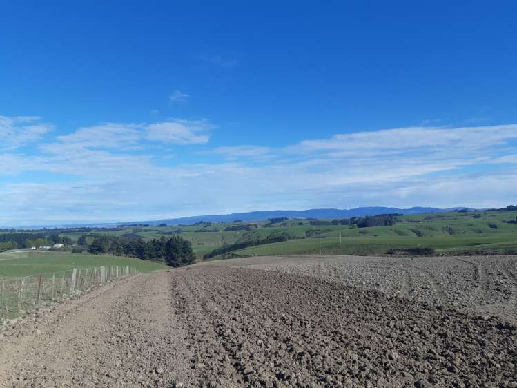 572 Cairn Road Clinton and Surrounds_13