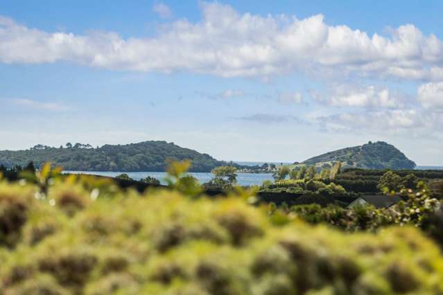 63 Ongare Point Road Katikati_1