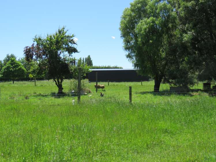 80 Johnstone Street Tinwald_14