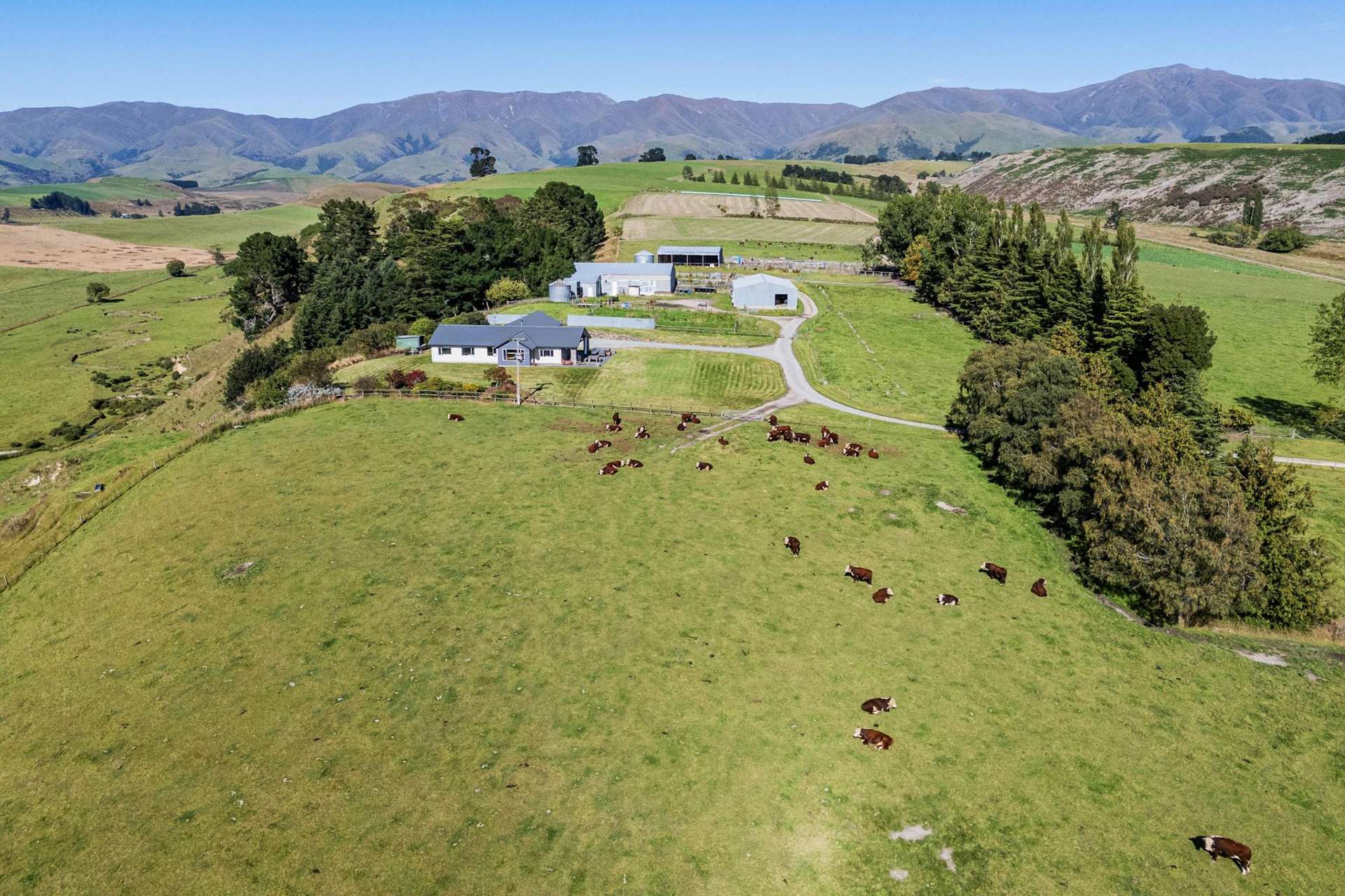 61 Howells Road Maungati_0