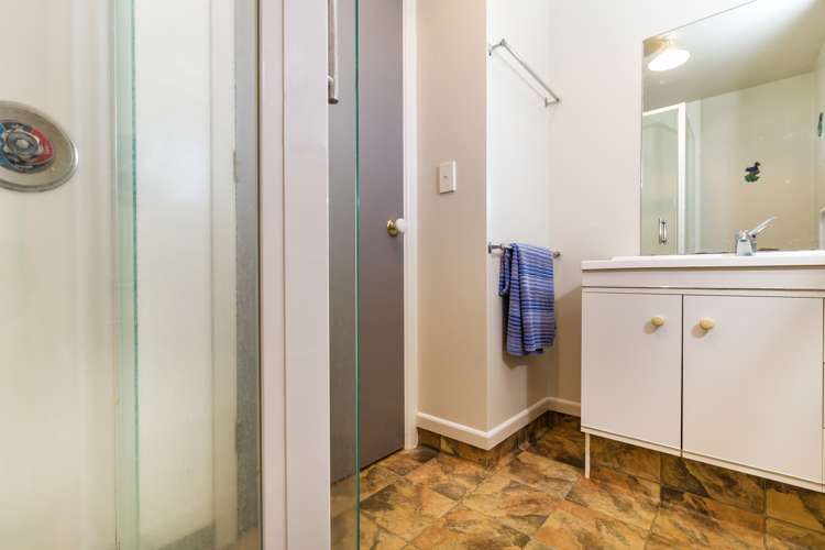 33 Ngati Parekaawa Drive Kuratau_10