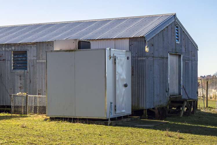 45 Quantock Road Geraldine_10