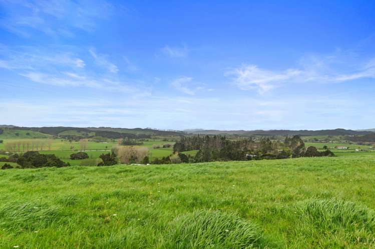 Pukehuia Road Tangiteroria_9