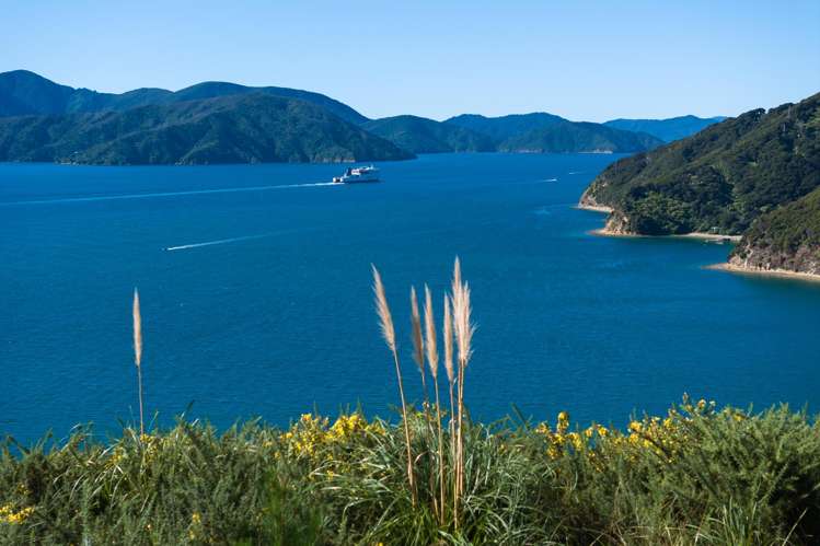 318 Port Underwood Road Waikawa_9