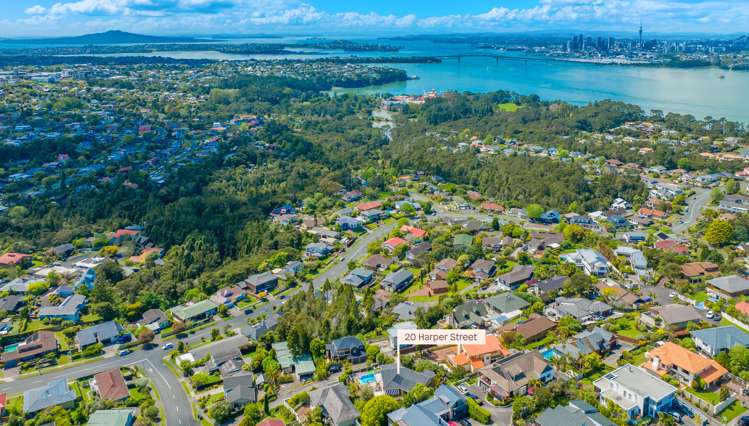 20 Harper Street Chatswood_6