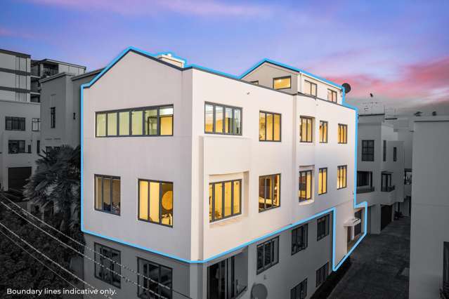 Packed with Potential in Parnell