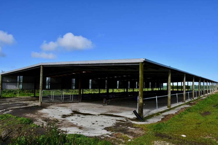 302 Kohaihai Road Karamea_8