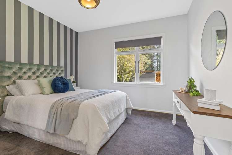 95 David Street Hinds_19