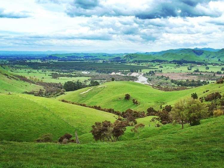 428 West Road Mauriceville_24