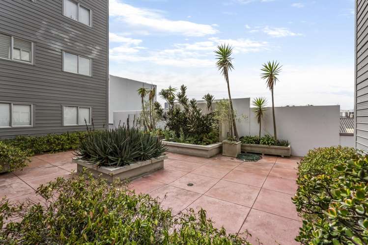 2B/1 Ophir Street Grey Lynn_14