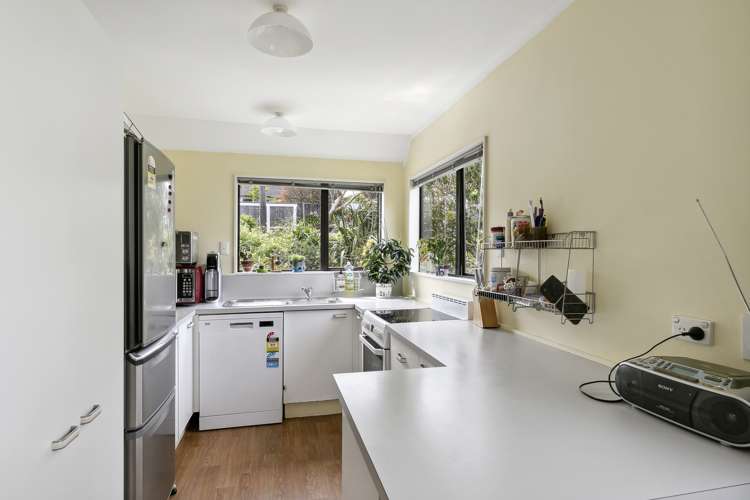 19a Bassett Road Johnsonville_6