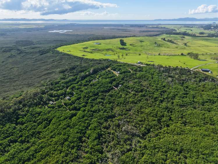 215 Tahanga Road Lake Ohia_35