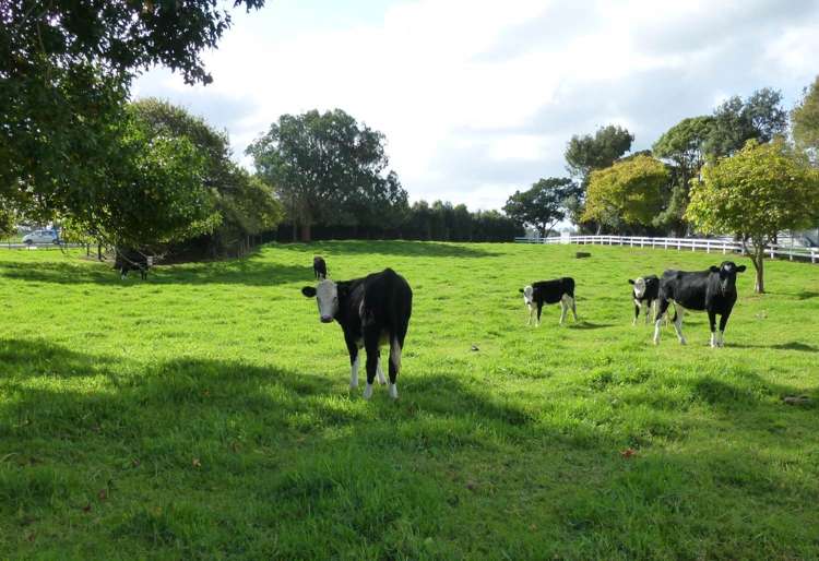 757 Glenbrook Road Kingseat_2