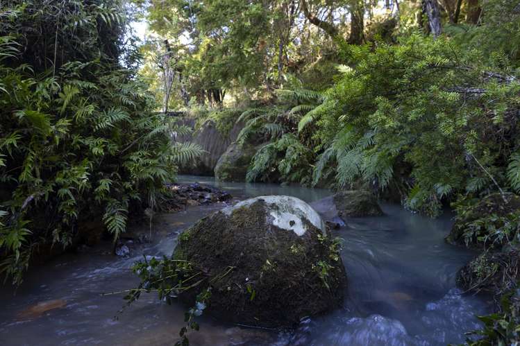 1238 Fern Flat Road_3