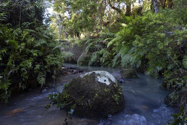 1238 Fern Flat Road Kaeo_3