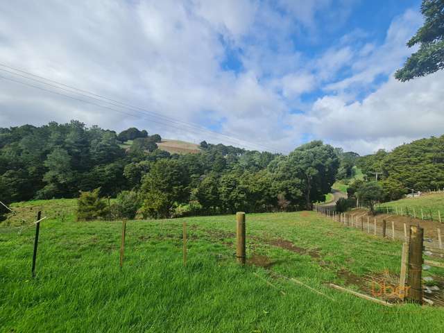 1039 Trounson Park Road Dargaville Surrounds_1