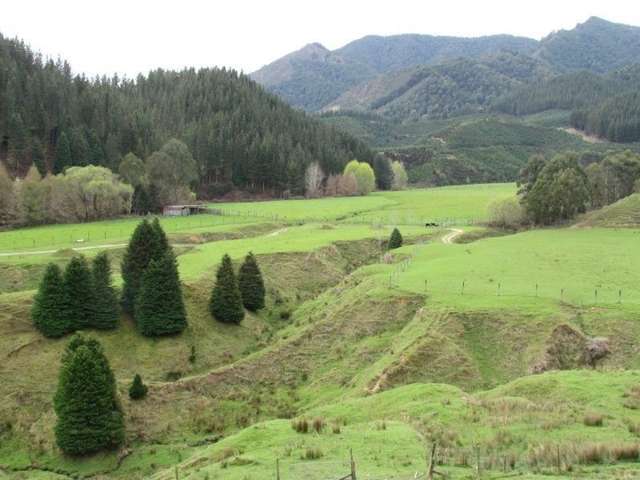 162 Owen Valley East Road Kahurangi National Park_3