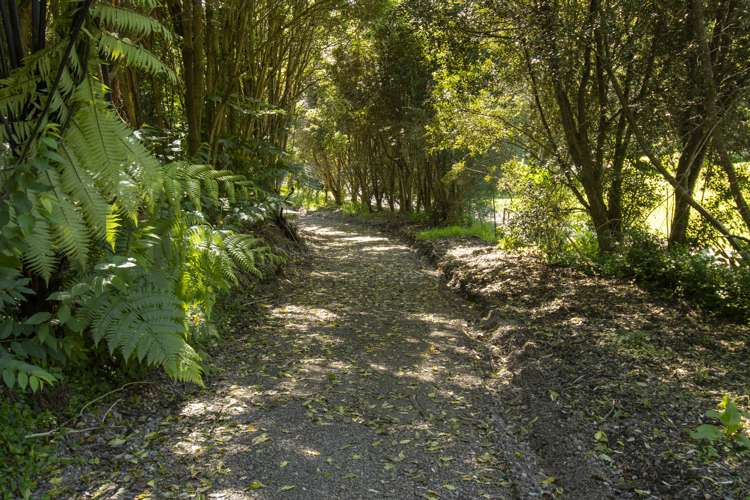 30 Westview Place Tauriko_4