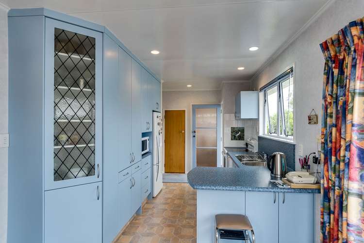 31 Plunket Street Tamatea_1