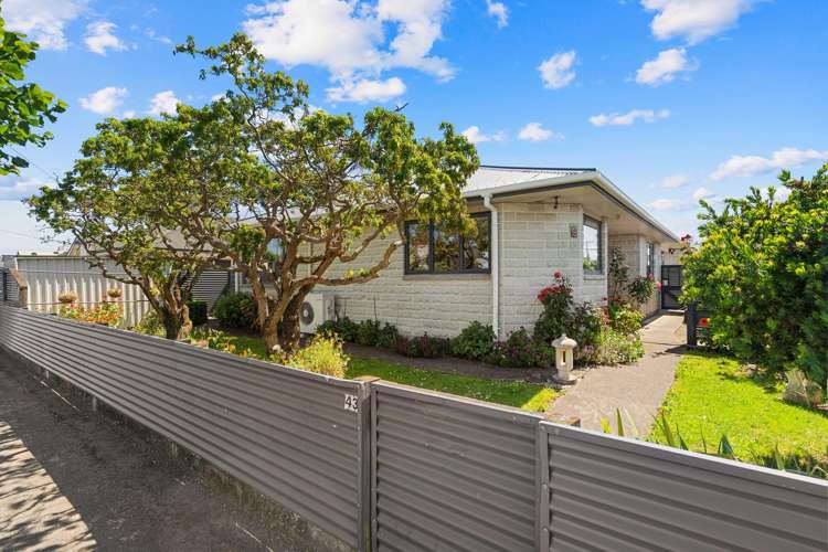 43 Worksop Road Masterton_17