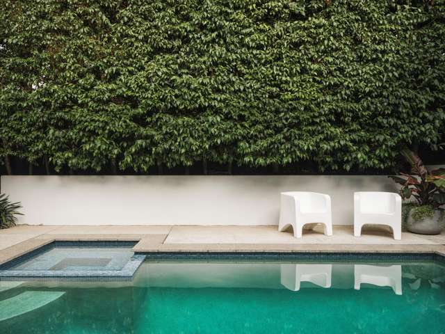 13 Dexter Avenue Mount Eden_1