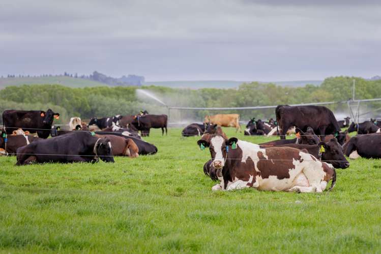 2593 Hakataramea Highway Waimate_1