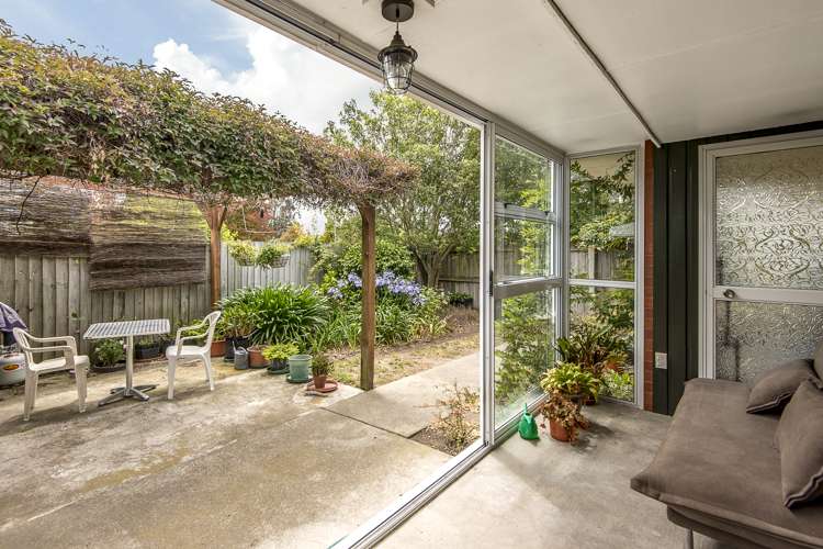 176b Carters Road Amberley_6