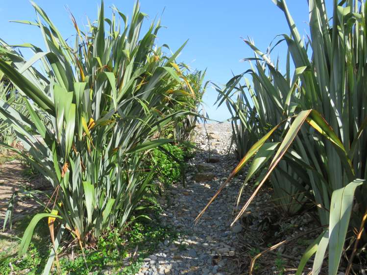 107 Torea Street Granity_24