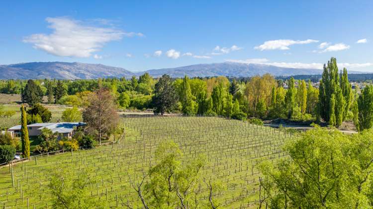 113 Earnscleugh Road Alexandra_8