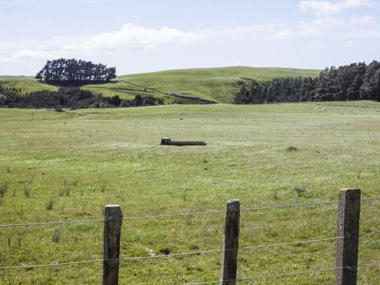 1530 Waihi Valley Road Pongaroa_7