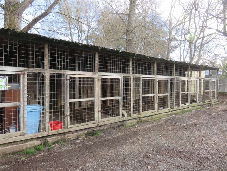 208 Woodbury Road Geraldine_9