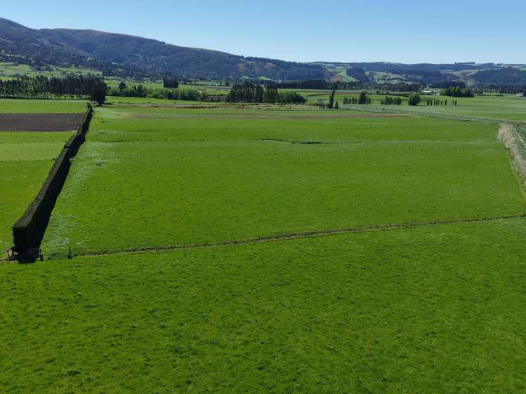 35 Maungatua Road Taieri Plain_16