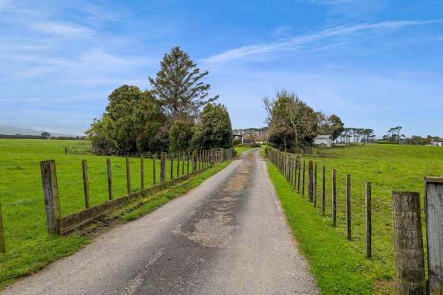 IMMACULATE DAIRY FARM