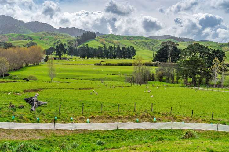 301 South Road Mauriceville_21