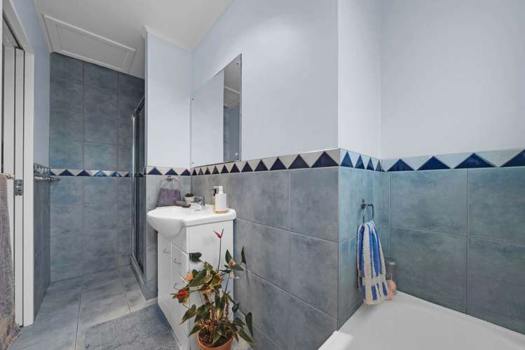 73 Awaroa Road Sunnyvale_19