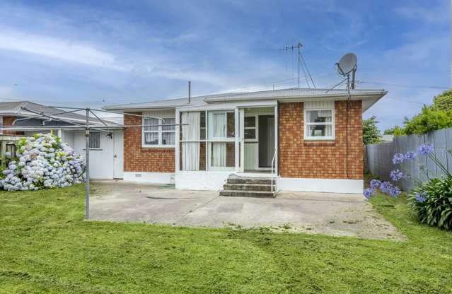 6 Rata Street Levin_1