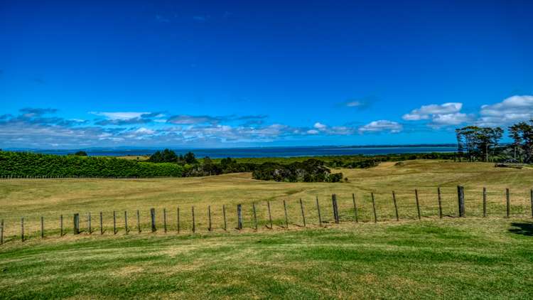 353 Rangiputa Road Karikari Peninsula_86