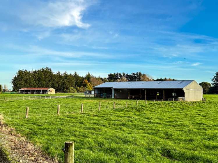 83 Fraser Road Winton Surrounds_7