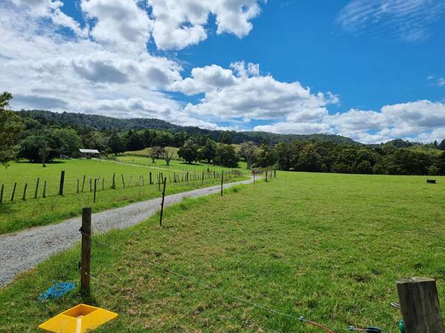 2860 State Highway 1 Brynderwyn_4