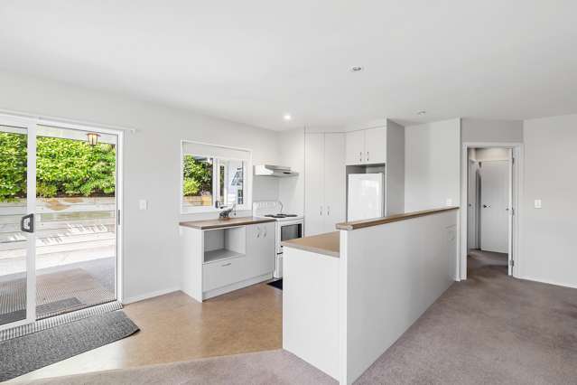 200 Tamamutu Street Taupo_3