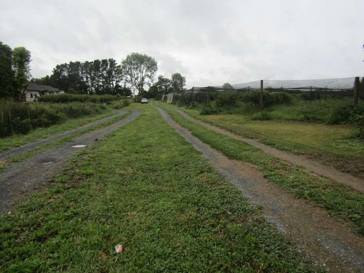 549a Seddon Road Gordonton_10