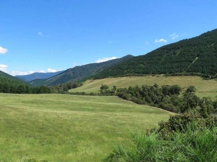 472 Maungatapu Road Rai Valley_16