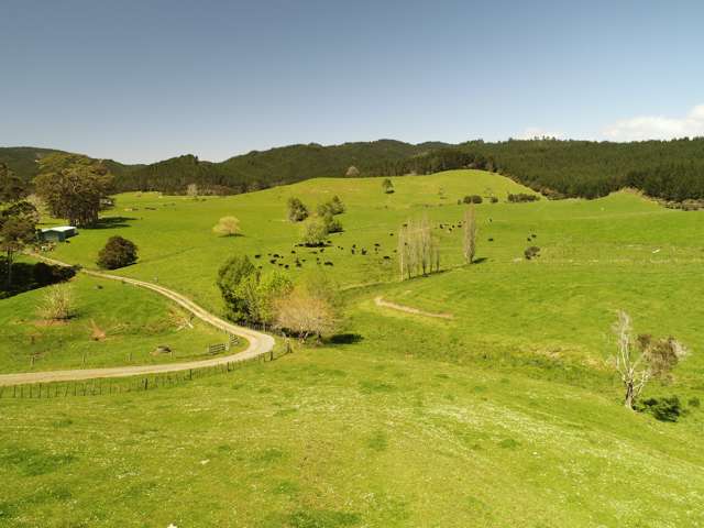 650 State Highway 25, Otapaurau, Matarangi_4