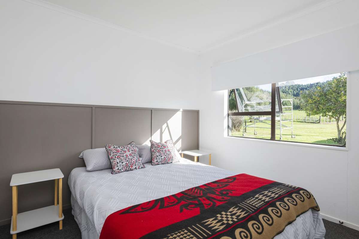 2133A Wharekopae Road_4
