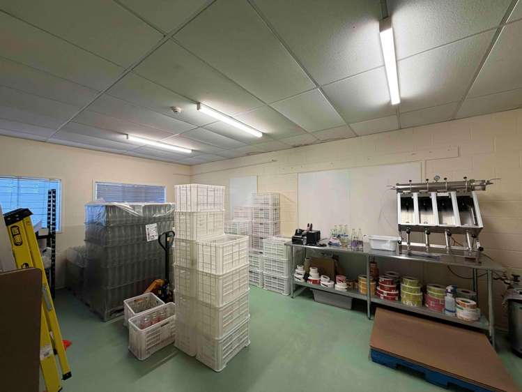 Suite A/37 Crummer Road Grey Lynn_6