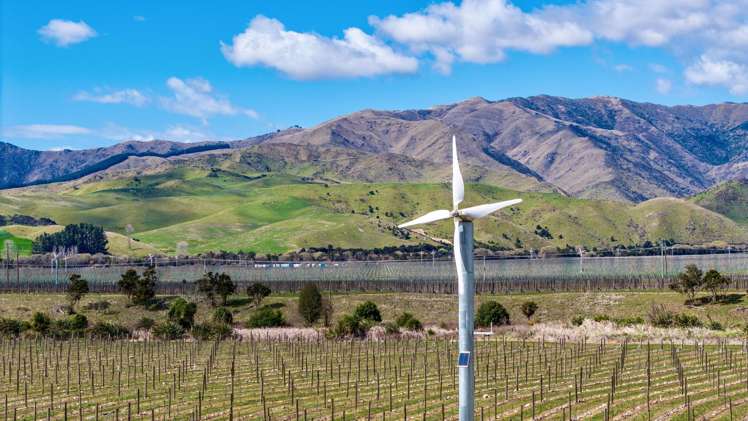 4816 State Highway 63 Wairau Valley_9