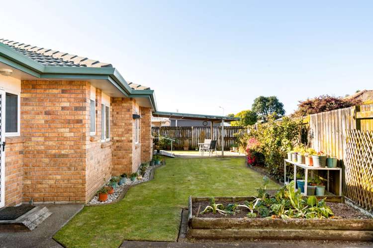 27 Luculia Drive Mount Maunganui_15
